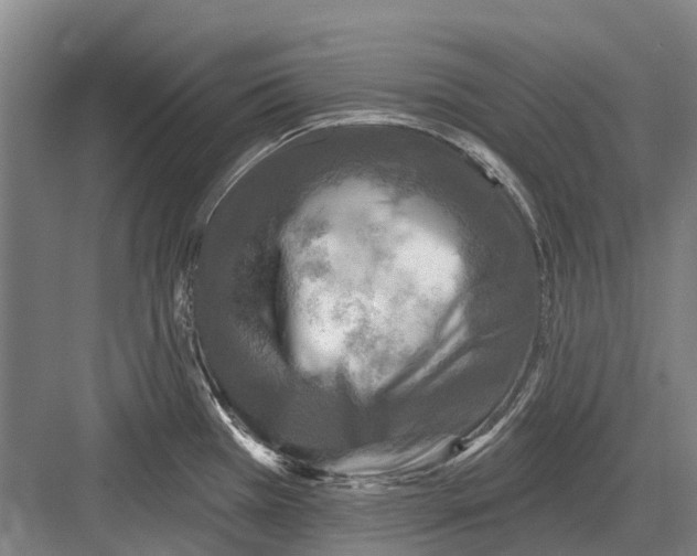 X0000082731385200702161856