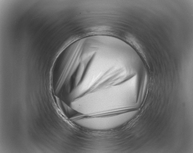 X0000082731386200702161856