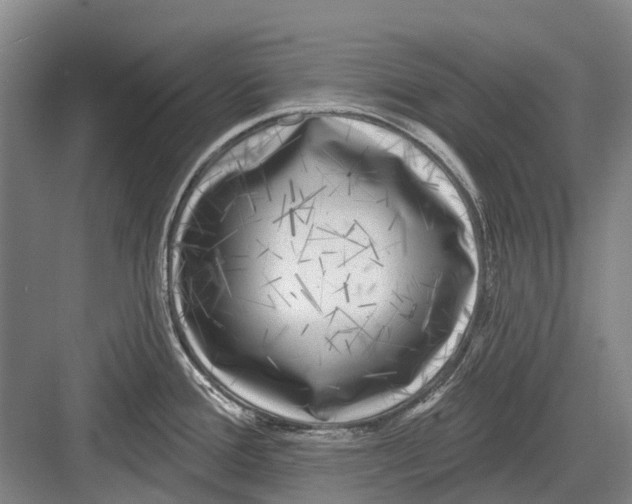 X0000082731388200702161856