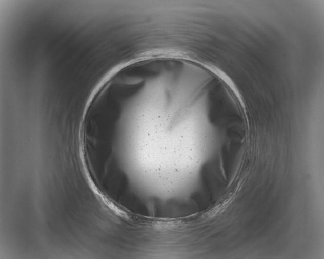 X0000082731389200702161856