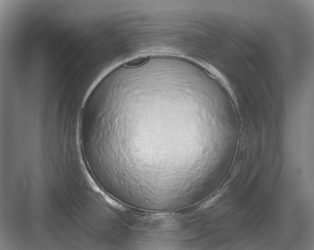 X0000082731390200702161856