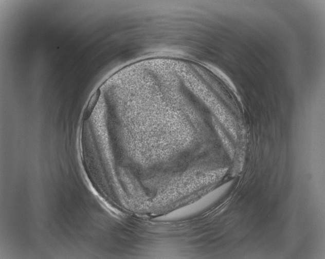 X0000082731391200702161856