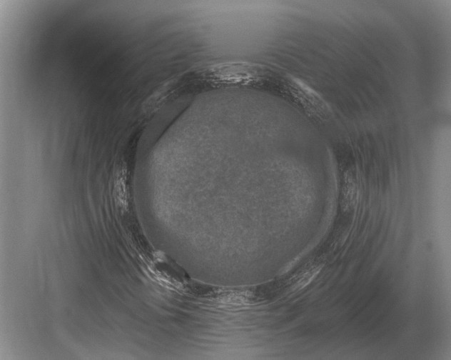 X0000082731394200702161855