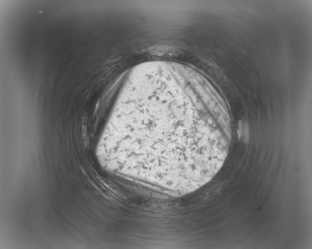 X0000082731396200702161855