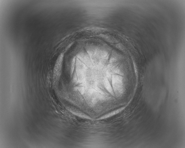 X0000082731397200702161855