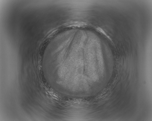 X0000082731399200702161855