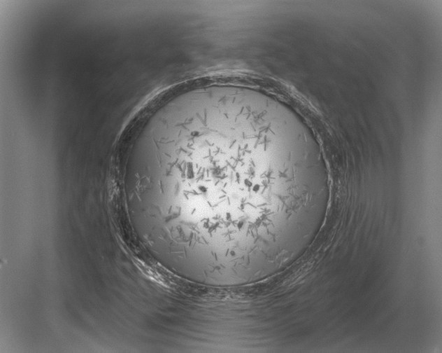 X0000082731400200702161855