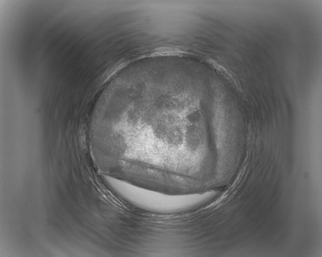 X0000082731401200702161855