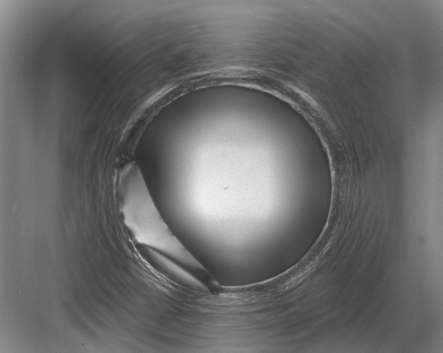 X0000082731402200702161855