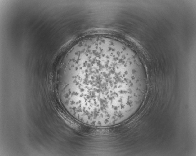 X0000082731403200702161855