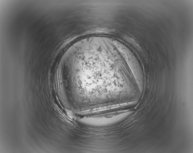 X0000082731404200702161855