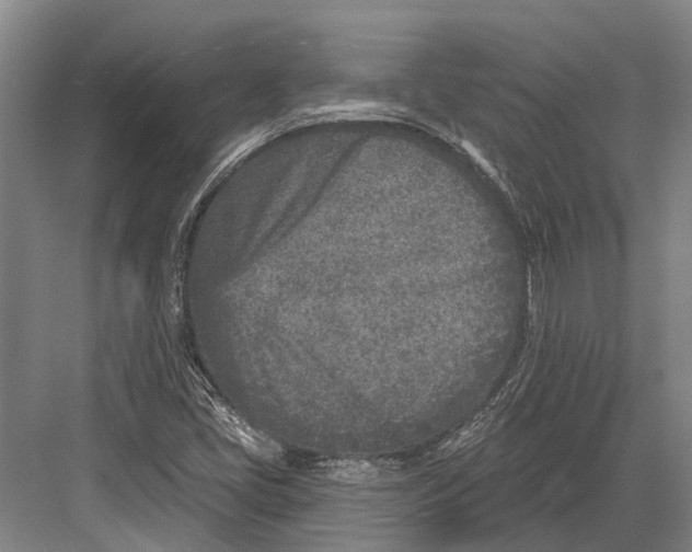 X0000082731405200702161855