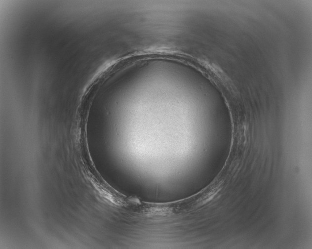 X0000082731406200702161855