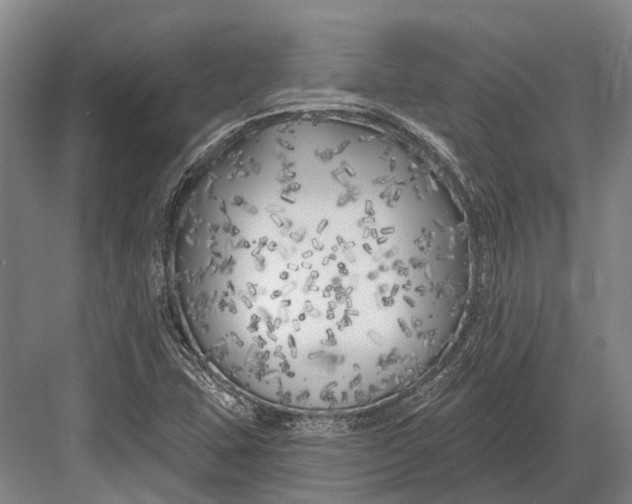 X0000082731407200702161855