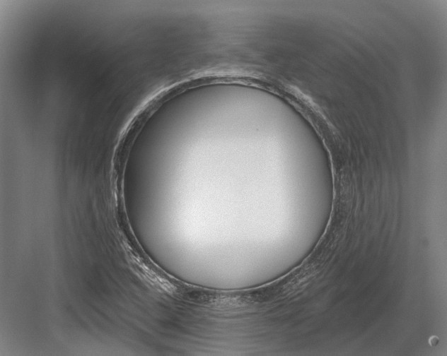 X0000082731408200702161855