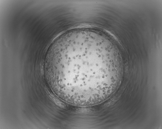 X0000082731409200702161855