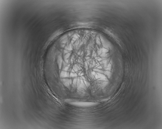 X0000082731411200702161855