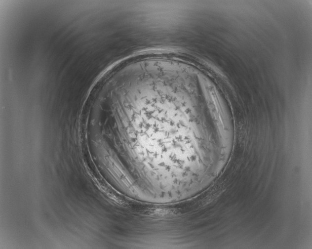 X0000082731412200702161855