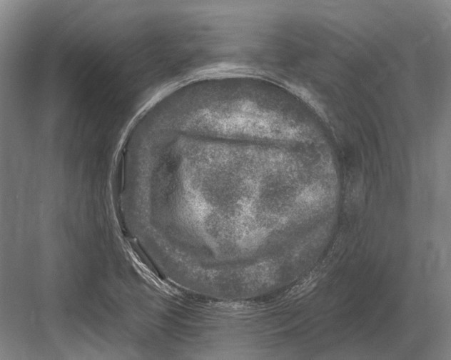 X0000082731413200702161855