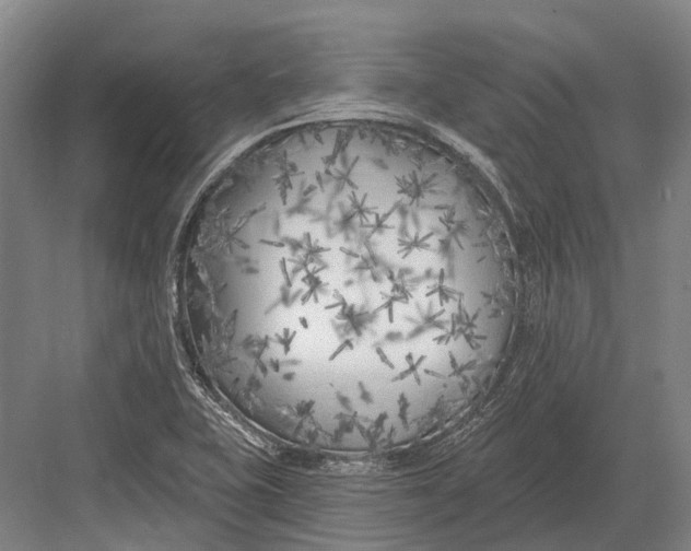 X0000082731415200702161855