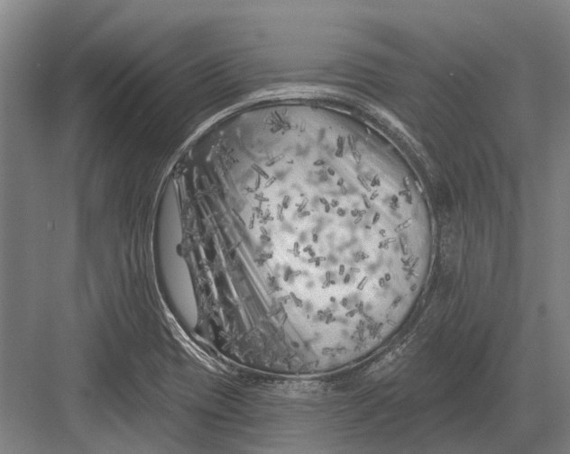 X0000082731417200702161855