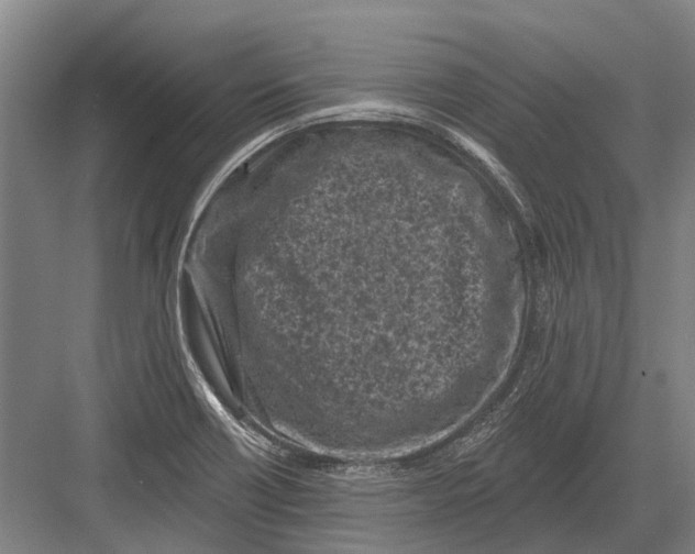 X0000082731418200702161855