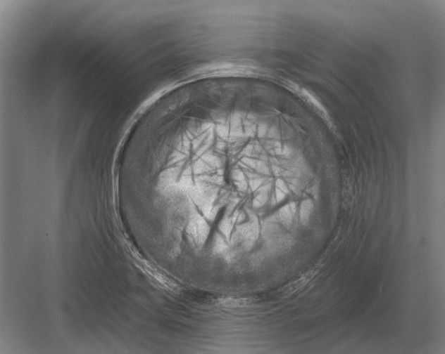 X0000082731419200702161855