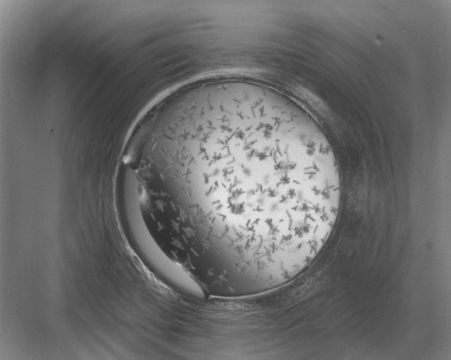 X0000082731420200702161855