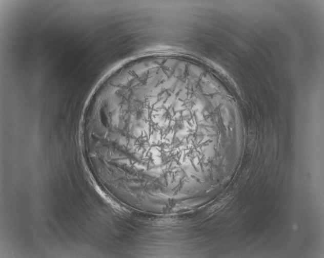 X0000082731421200702161855