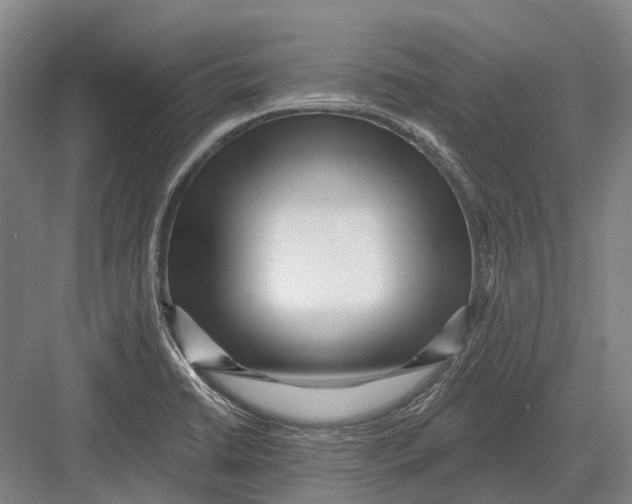 X0000082731422200702161855