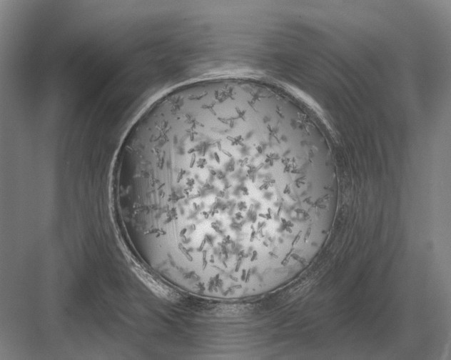 X0000082731423200702161855