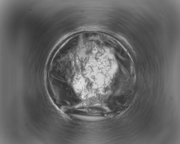 X0000082731424200702161855