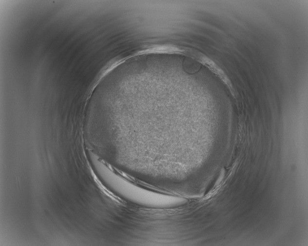 X0000082731425200702161855