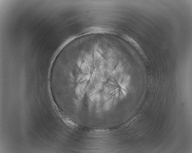 X0000082731427200702161855