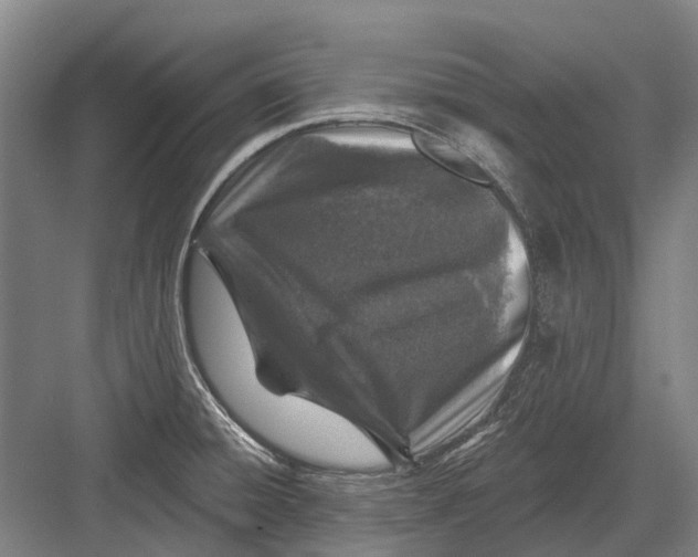 X0000082731428200702161855