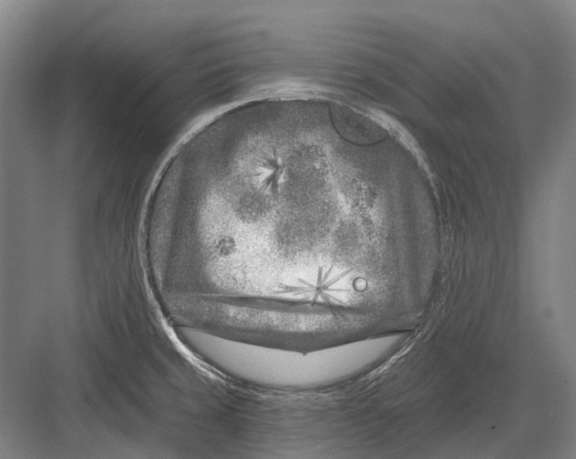 X0000082731429200702161855