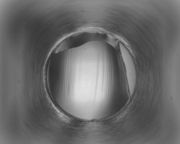 X0000082731430200702161855