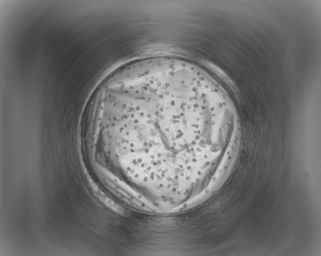 X0000082731431200702161855