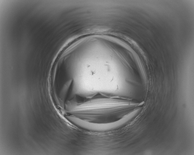 X0000082731432200702161855