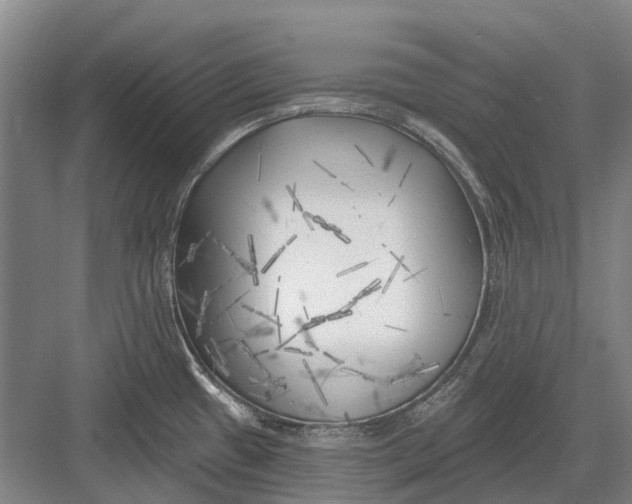 X0000082731433200702161856