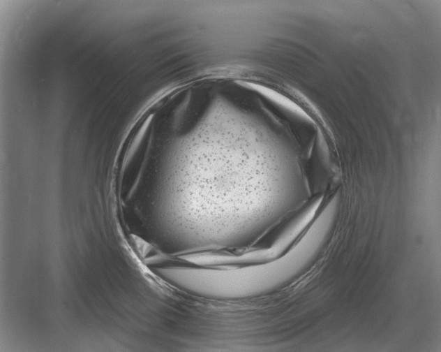 X0000082731434200702161856