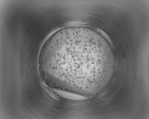 X0000082731435200702161856