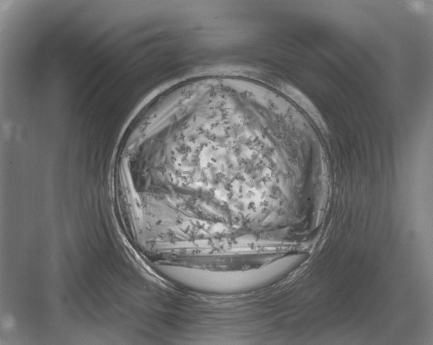 X0000082731436200702161856