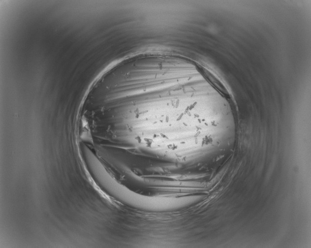 X0000082731437200702161856