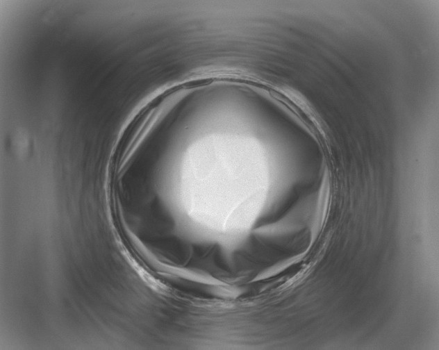 X0000082731438200702161856