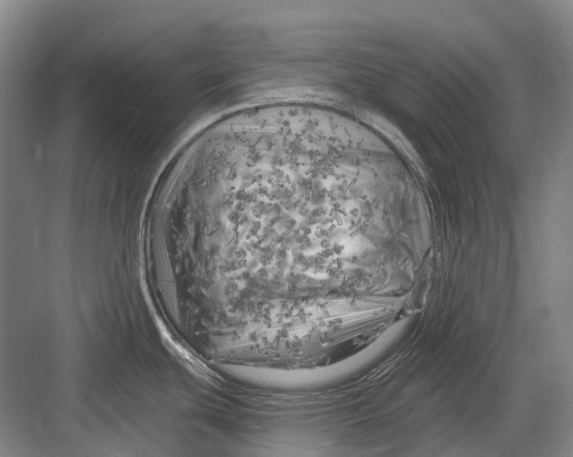 X0000082731439200702161856