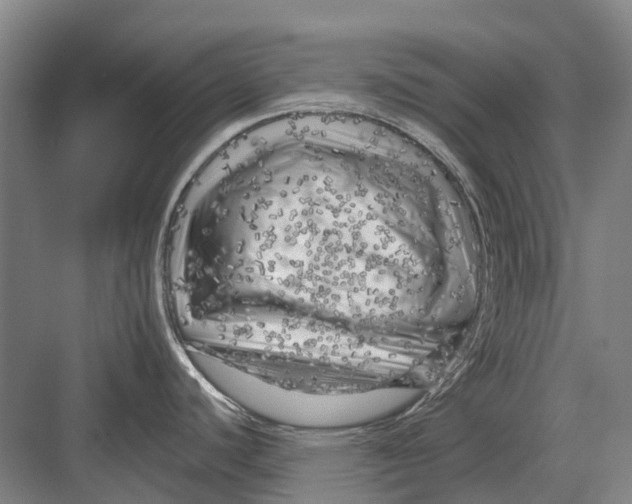 X0000082731440200702161856