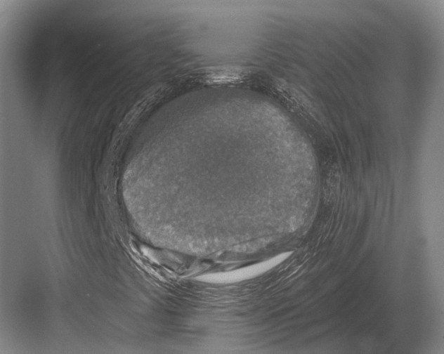 X0000082731441200702161855