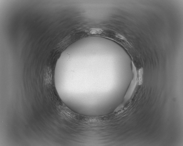 X0000082731443200702161855