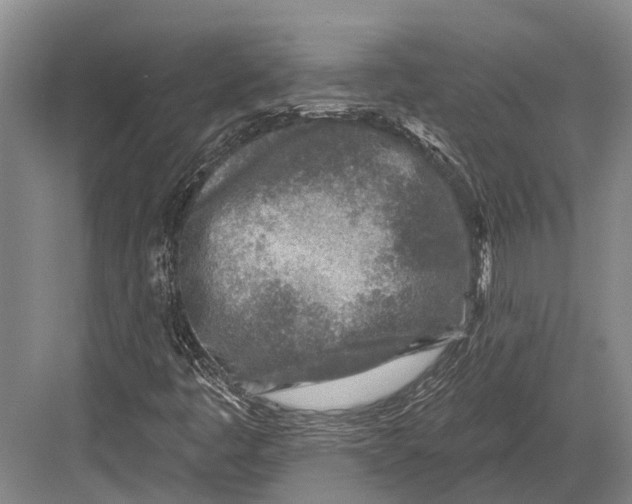 X0000082731445200702161855